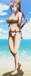  amaya_haruko anime_screenshot arm_behind_back bad_link beach bikini breasts cleavage cloud covered_nipples day female front-tie_top hair_ornament head_tilt highres hip_focus large_breasts legs long_hair looking_at_viewer maken-ki! navel ocean outdoors ponytail side-tie_bikini_bottom sky sparkle stitched swimsuit third-party_edit underboob very_long_hair water 