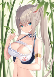  absurdres angel_no_shousou animal_ears armlet bamboo bare_shoulders blue_eyes breasts cat_ears cat_girl cat_tail choker cleavage collarbone crop_top female frilled_choker frills grey_hair halterneck hand_up highres large_breasts long_hair looking_at_viewer midriff navel oerba_yun_fang original plant ponytail sleeveless smile solo stomach tail upper_body 