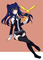  blue_hair d.gray-man female lenalee_lee megumi_ryouko solo thighhighs timcanpy twintails zettai_ryouiki 