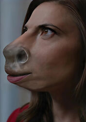  absurd_res anthro celebrity equid equine female female/female hayley_atwell hi_res horse mammal nosetf photo_manipulation solo third-party_edit transformation 