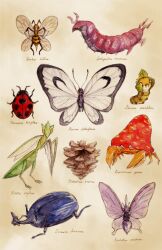  animal antennae beedrill beige_background butterfree chupachup commentary_request heracross ledyba no_humans painting_(medium) parasect photoshop_(medium) pineco pokemon pokemon_(creature) realistic scolipede scyther sewaddle simple_background traditional_media venomoth watercolor_(medium) wings 