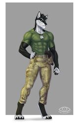  abs absurd_res akivia_wolf anthro army army_uniform biceps canid canine canis clothed clothing dog_tags gun handgun hi_res ladychimaera male mammal military military_uniform muscular muscular_anthro muscular_male pistol ranged_weapon solo uniform weapon weapon_holster wolf 