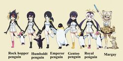  6+girls :d ;d arm_up bird black-framed_eyewear black_footwear black_hair blonde_hair boots brown_background brown_eyes clenched_hand closed_mouth commentary_request creature_and_personification drawstring elbow_gloves emperor_penguin emperor_penguin_(kemono_friends) english_text gentoo_penguin gentoo_penguin_(kemono_friends) glasses gloves glowstick grape-kun grey_hair hair_over_one_eye hairband headphones high-waist_skirt highres holding holding_glowstick hood hood_down hooded_leotard hoodie humboldt_penguin humboldt_penguin_(kemono_friends) jacket kemono_friends leg_up leotard long_hair long_sleeves looking_at_viewer low_twintails margay margay_(kemono_friends) margay_print medium_hair messy_hair miniskirt multicolored_hair multiple_girls name_connection no_pants one_eye_closed open_mouth penguin penguins_performance_project_(kemono_friends) pink_footwear pleated_skirt print_gloves print_skirt print_thighhighs red_hair rockhopper_penguin rockhopper_penguin_(kemono_friends) royal_penguin royal_penguin_(kemono_friends) shirt shoes short_hair side_ponytail simple_background skirt sleeveless sleeveless_shirt smile standing standing_on_one_leg swept_bangs thighhighs twintails white_hairband white_hoodie white_jacket white_leotard white_shirt white_skirt white_thighhighs yamaguchi_yoshimi yellow_footwear yellow_skirt yellow_thighhighs 