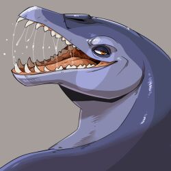  1:1 ambiguous_form ambiguous_gender blue_body cetacean dolphin glistening glistening_eyes grey_background imperatorcaesar looking_at_viewer mammal marine narrowed_eyes orange_eyes orange_tongue sharp_teeth simple_background solo teeth tongue toothed_whale 