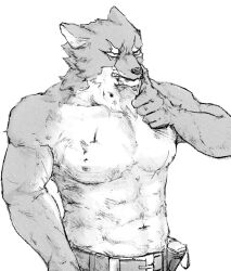  1boy abs animal_ears arknights bara bare_pectorals belt blood blood_from_mouth bruise bruised_chest foot_out_of_frame furry furry_male gambino_(arknights) helpme_erin highres injury male_focus monochrome navel nipples pectorals scar scar_across_eye scar_on_face scar_on_mouth wolf_boy wolf_ears 