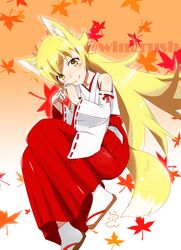  animal_ear_fluff animal_ears bakemonogatari blonde_hair blush commentary_request detached_sleeves extra_ears female fooring fox fox_ears fox_tail hair_between_eyes hakama hakama_skirt highres japanese_clothes leaf long_hair looking_at_viewer maple_leaf monogatari_(series) oerba_yun_fang oshino_shinobu red_hakama ribbon_trim sandals skirt solo tabi tail twitter_username yellow_eyes 