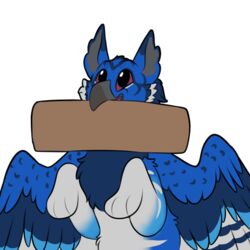  1:1 2022 alpha_channel avian ben_(benjde) blue_body board feathered_wings feathers feral gryphon mythological_avian mythological_creature mythology outline paws red_eyes simple_background smile symrea telegram_sticker transparent_background wings 