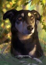  2018 absurd_res alana_(dantherobot197) ambiguous_gender appenzeller_mountain_dog black_body black_fur black_nose brown_eyes canid canine canis closed_smile colored day digital_media_(artwork) digital_painting_(artwork) domestic_dog feral floppy_ears forest forest_background fur grass hi_res leaf light lighting looking_up mammal martith molosser mountain_dog mouth_closed multicolored_body multicolored_fur nature nature_background outside plant shaded smile solo swiss_mountain_dog tan_body tan_fur tree two_tone_body two_tone_fur whisker_spots 