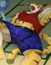  2024 7575el anthro belt blue_bottomwear blue_clothing blue_shorts bottomwear brown_body brown_fur brown_stripes clothed clothing countershade_arms countershade_face countershade_feet countershade_legs countershade_torso countershading dipstick_tail fan_(object) fangs feet felid fully_clothed fur lying male mammal markings morenatsu muscular muscular_anthro muscular_male on_back on_ground open_mouth pantherine pink_nose raised_clothing raised_shirt raised_tank_top raised_topwear red_clothing red_shirt red_tank_top red_topwear shirt shorts solo stripes tail tail_markings tan_body tan_countershading tan_fur tank_top tatami teeth tiger topwear torahiko_(morenatsu) yawn yellow_body yellow_fur 