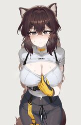  absurdres animal_ears blush breasts brown_hair cleavage closed_mouth cowboy_shot female girls&#039;_frontline girls&#039;_frontline_neural_cloud gloves highres large_breasts long_hair pants ribu_(rv) solo sweat tail turing_(neural_cloud) 