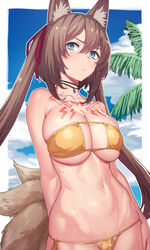  animal_ear_fluff animal_ears arm_at_side arm_behind_back bare_arms bare_shoulders beach bikini blue_eyes blue_sky border breasts brown_hair caleen_keemosn choker cleavage collarbone commentary_request cowboy_shot day eyepatch_bikini female fox_ears fox_tail hair_between_eyes hair_ribbon jewelry large_breasts long_hair looking_at_viewer multiple_tails navel outdoors outside_border palm_tree pendant red_ribbon ribbon side-tie_bikini_bottom sky solo star_ocean star_ocean_anamnesis stomach strapless strapless_bikini string_bikini swimsuit tail tattoo tenchisouha tree twintails underboob very_long_hair white_border yellow_bikini 