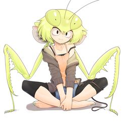  antennae arthropod_girl bags_under_eyes barefoot black_eyes casual commentary constricted_pupils denim denim_shorts evolvingmonkey female fingernails flat_chest full_body green_hair green_nails highres hood hood_down hooded_jacket indian_style jacket light_green_hair light_smile looking_at_viewer mantis_akiyama mantis_girl medium_hair monster_girl nail_polish off_shoulder open_clothes open_jacket orange_tank_top original own_hands_together parasite praying_mantis short_shorts shorts simple_background sitting solo tank_top toenail_polish toenails unzipped white_background worm 