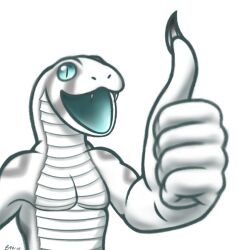  1:1 2024 5_fingers alpha_channel anthro athletic athletic_anthro athletic_male belly_scales claws dated diamondback_rattlesnake digital_drawing_(artwork) digital_media_(artwork) fangs finger_claws fingers front_view gesture grey_markings half-length_portrait hand_gesture hi_res humanoid_hands krita_(artwork) long_neck looking_at_viewer male markings open_mouth open_smile pecs pit_viper portrait pupils rattlesnake reptile scales scalie shaded signature simple_background slit_pupils smile smiling_at_viewer snake soft_shading solo spe spek_(spe) teal_eyes teal_mouth teeth thumbs_up transparent_background viper western_diamondback_rattlesnake white_body white_scales 