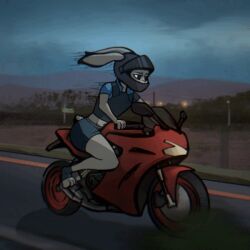  1:1 animated armor biker blue_clothing blurred_background bottomwear bulletproof_vest clothing disney epsonstepson female fluffy fluffy_tail forest forest_background fur grey_body grey_fur headgear helmet humanoid judy_hopps lagomorph leporid mammal motorcycle nature nature_background plant rabbit road running short_playtime shorts solo solo_focus tail tree vehicle zootopia 