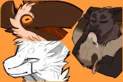  0ct0m0n0 ambiguous_gender anthro anthro_on_anthro avian beak brown_beak brown_body brown_fur cheek_tuft closed_eyes duo facial_tuft felid fur head_tuft hi_res horizontal_pupils kissing male male/male mammal multiple_images neck_tuft open_mouth orange_background orange_eyes pupils simple_background solo species_request tan_body tan_fur tuft 