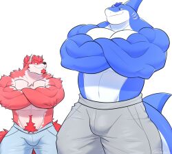  2024 abs anthro barazoku biceps big_muscles biped blue_body canid canine canis countershade_fur countershading crossed_arms duo fish fur hi_res huge_muscles male mammal marine muscular muscular_anthro muscular_male pecs red_body red_fur same22shark shark shirtless_anthro shirtless_male white_body white_countershading white_fur wolf 