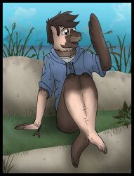  beach blue_clothing blue_hoodie blue_topwear brown_body brown_eyes brown_hair california_sea_lion clothing feral flipper_hands fused_legs grass hair hi_res hoodie human_to_feral icaron looking_at_self male mammal marine mid_transformation open_mouth pinniped plant sand sea sea_lion shirt solo species_transformation topwear transformation undershirt water watermark whiskers 