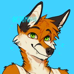  0ct0m0n0 anthro arm_tuft black_ears blue_background bust_portrait canid canine cheek_tuft closed_smile clothed clothing facial_tuft fangs fox green_eyes hair looking_at_viewer male mammal mouth_closed neck_tuft orange_hair portrait short_hair shoulder_tuft simple_background smile solo teeth topwear tuft white_clothing white_inner_ear white_topwear 