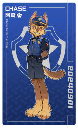  2024 anthro biped bottomwear brown_body brown_fur canid canine canis chase_(paw_patrol) clothed clothing countershade_face countershade_fur countershade_tail countershading domestic_dog english_text fur german_shepherd hat headgear headwear herding_dog hi_res kemono leg_markings male mammal markings pastoral_dog paw_patrol police police_uniform rakkasei shorts smile socks_(marking) solo tail text uniform 