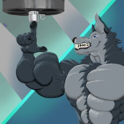  anthro big_biceps big_muscles big_teeth dumbbell exercise hi_res male multicolored_eyes muscular raised_finger seinki solo strength teeth two_tone_eyes weightlifting weights workout 