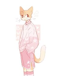  2023 black_eyes bottomwear bunonthemoon clothing domestic_cat felid feline felis fur hi_res hoodie male mammal orange_body orange_fur pink_bottomwear pink_clothing pink_hoodie pink_shorts pink_topwear shorts slim_anthro slim_male solo standing topwear white_body white_fur 