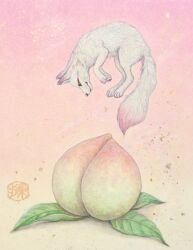  ambiguous_gender canid canine feral food fox fruit hi_res kaho_nishikawa mammal peach_(fruit) pink_background plant red_fox simple_background solo traditional_media_(artwork) true_fox 