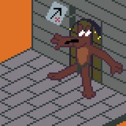  1:1 animated anthro arrow_sign bottomwear breath brick_floor brick_wall canid canine canis clothed clothing digital_media_(artwork) docked_tail domestic_dog door door_slam humor kawa_kir_(artist) loincloth loincloth_only male mammal panting pawpads pinscher pinscher_(pinscher_5d) pinscher_5d pixel_(artwork) pixel_animation scared short_playtime short_tail sign snout solo tail topless wall_(structure) wide_eyed wood wood_door x_sign 