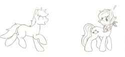  absurd_res ambiguous_gender cutie_mark denzeltip duo earth_pony equid equine exclamation_point fan_character feral hasbro hi_res horse male mammal monochrome my_little_pony open_mouth pony simple_background smile standing white_background 