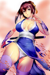  absurdres armor bare_shoulders breasts brown_eyes brown_hair cherry_blossoms choker collarbone commentary_request covered_navel cowboy_shot dead_or_alive female hair_between_eyes hair_ribbon highres japanese_armor japanese_clothes judge_(oekaki) kasumi_(doa) kote large_breasts long_hair looking_at_viewer ninjatou panties parted_lips pelvic_curtain petals ponytail ribbon sash short_sword solo sword thighhighs underwear weapon weapon_on_back white_panties white_thighhighs wind wind_lift wrist_guards yellow_ribbon 