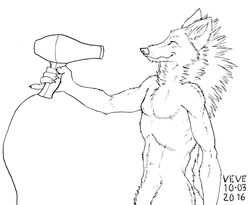  2016 5_fingers anthro athletic athletic_anthro athletic_male black_and_white canid canine cheek_tuft chest_tuft dated dryer facial_tuft fangs fingers hair_dryer inner_ear_fluff male mammal mane maned_wolf monochrome neck_tuft side_view signature skyelegs smile solo teeth tuft 