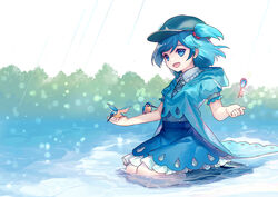  :d adapted_costume ainy animal animal_on_arm bad_id bad_pixiv_id bird bird_on_arm bird_on_hand blouse blue_eyes blue_hair boots common_kingfisher female floating floating_object full_body hair_bobbles hair_ornament hat hood hooded_jacket jacket kawashiro_nitori key kingfisher open_mouth partially_submerged photoshop_(medium) puffy_short_sleeves puffy_sleeves rubber_boots seiza shirt short_hair short_sleeves sitting skirt skirt_set smile touhou tree two_side_up water 