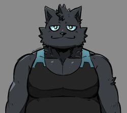  anthro black_body black_fur blue_eyes clothing domestic_cat dynogreeno felid feline felis fur hi_res male mammal shirt smile solo tank_top topwear 