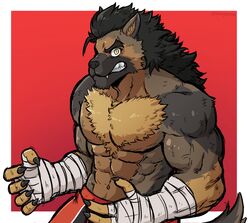  absurd_res anthro bandage bandaged_arm black_hair canid canine canis claws dynogreeno fangs fur furry_chest hair hi_res male mammal muscular muscular_anthro muscular_male red_background simple_background solo teeth wolf yellow_eyes 