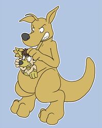  age_regression anthro blue_balls duo human humanoid_pointy_ears in_pouch joey_(disambiguation) kangaroo macropod male mammal marsupial paws pouch_(anatomy) simple_background snout tail thick_tail transformation 