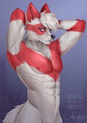  absurd_res anthro ariagoldberry canid canine culpeo_fox fox hi_res male mammal muscular muscular_anthro muscular_male raised_arms renais_(kaixo) solo south_american_fox 