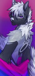  2020 angiewolf anthro bisexual_pride_colors black_body black_fur canid canine digital_media_(artwork) fur hair lgbt_pride male mammal pride_colors purple_eyes solo white_hair white_nose 