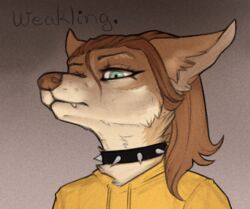  2021 anthro brown_body brown_fur brown_hair canid canine canis clothed clothing collar cotton_(yshanii) digital_media_(artwork) english_text female fur hair hoodie humor looking_at_viewer mammal shaded simple_background solo spiked_collar spikes text topwear wolf yshanii 