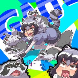  1:1 animal_humanoid arai-san biped black_nose clothed clothing feral fur grey_body grey_fur group humanoid humanoid_hands kemono_friends mammal mammal_humanoid procyonid procyonid_humanoid raccoon raccoon_humanoid simple_background text umikazenet3 