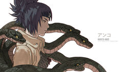  black_hair character_name character_profile closed_mouth coat collared_coat female fisher903 fishnet_top fishnets forehead_protector from_side high_ponytail long_hair long_sleeves mitarashi_anko naruto naruto_(series) ninja open_clothes open_coat ponytail purple_hair reference_sheet serious short_ponytail simple_background snake solo spiked_hair upper_body white_background wide_ponytail yellow_coat 