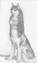  2013 blouse bottomless bottomless_female bottomless_taur breasts canid canid_taur canine canine_taur canis chukchi_husky claws clothed clothing countershade_face countershade_torso countershading dog_taur domestic_dog female finger_claws fingers fluffy fluffy_tail graphite_(artwork) greyscale hair herm_(lore) hi_res husky husky_taur jacket looking_at_viewer mammal mammal_taur medium_breasts monochrome nordic_sled_dog pencil_(artwork) quadruped shaded simple_background sitting soft_shading solo spitz tail taur toe_claws topwear topwear_only traditional_media_(artwork) white_background 