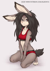  anthro bra clothing elronya fan_character female freckles hair lagomorph leporid long_hair mammal panties rabbit ronya short_tail solo sportswear suvi_(elronya) tail text text_on_bra text_on_clothing text_on_panties text_on_underwear underwear url 