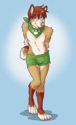 4_toes analon_(artist) anthro bandana belly biped blue_background boxer_briefs brown_body brown_ears brown_fur brown_hair brown_tail canid canine canis clothed clothing digitigrade domestic_dog feet fur green_bandanna green_clothing green_eyes green_kerchief green_neckerchief green_underwear hair husky karo kerchief lips male mammal multicolored_body multicolored_fur multicolored_tail neckerchief nordic_sled_dog pink_lips pink_nose red_hair simple_background solo spitz standing tail tan_body tan_fur toes tongue topless underwear white_body white_fur white_tail wide_hips