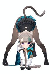  absurdres ai-generated animal_ear_fluff animal_ears aqua_bow bent_over black_footwear black_pantyhose bow breasts cat_ears cat_girl cat_stretch cat_tail closed_mouth facial_mark facial_tattoo female frilled_leotard frills full_body genshin_impact gloves grey_hair highres huge_bow jack-o&#039;_challenge juliet_sleeves leotard long_hair long_sleeves looking_at_viewer lynette_(genshin_impact) pantyhose puffy_sleeves purple_eyes solo star_(symbol) star_facial_mark star_tattoo stretching tail tattoo two-tone_gloves zero_(qingsongzero) 