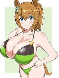  alternate_costume animal_ears bare_shoulders bikini black_bikini blue_eyes border breasts brown_hair cleavage female green_background green_bikini hair_between_eyes hair_ornament hand_on_own_hip highres horse_ears horse_girl horse_tail huge_breasts kagemusha looking_at_viewer ponytail simple_background smile solo star_(symbol) star_hair_ornament swimsuit taiki_shuttle_(umamusume) tail two-tone_bikini umamusume white_border 