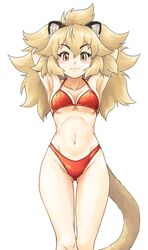  animal_ears arms_behind_head ass_visible_through_thighs bikini blonde_hair blush breasts female fur_collar hair_between_eyes highres kemono_friends large_breasts lion_(kemono_friends) lion_ears lion_tail long_hair naka_(nicovideo14185763) navel red_bikini smile solo swimsuit tail yellow_eyes 