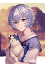  absurdres animal ayanami_rei backlighting blurry blurry_background bryanth closed_mouth commentary depth_of_field feline female highres holding holding_animal holding_cat looking_at_viewer neon_genesis_evangelion outdoors outside_border purple_hair red_eyes red_ribbon ribbon school_uniform short_hair short_sleeves smile solo sunlight tokyo-3_middle_school_uniform 