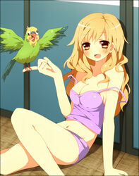  :d bad_id bad_pixiv_id bird bird_on_hand blonde_hair breasts brown_eyes cleavage female hinase_haruka inko leaning_back long_hair mature_female medium_breasts midriff navel open_mouth parrot short_shorts shorts sitting smile strap_slip takasu_yasuko toradora! 