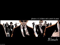  abarai_renji bleach hisagi_shuuhei hitsugaya_toushirou ichimaru_gin ishida_uryuu kuchiki_byakuya kurosaki_ichigo kurosaki_isshin kyoraku_shunsui shiba_ganju ukitake_jyuushirou zaraki_kenpachi 