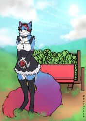  absurd_res anthro arctic_fox black_nose canid canine clothing collar eyebrows female food fox fruit fur gormi110 gormi_(gormi110) hair hi_res mammal melon multicolored_body multicolored_fur plant solo true_fox watermelon 