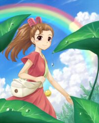  amane_(funfun) arrietty bag brown_hair clothes_pin cloud commentary_request day dew_drop dress female karigurashi_no_arrietty leaf long_hair looking_at_viewer mini_person minigirl ponytail rainbow red_dress sky smile solo sugar_cube water_drop 